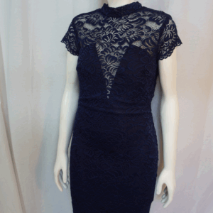 Windsor NB Laced Midi Dress