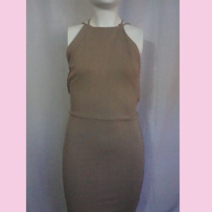 Windsor Nude Color Mini Dress